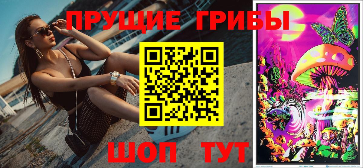 Россия  Псилоцибиновые грибы GOLDEN TEACHER  Вход с VPN 