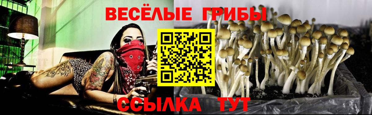 Галлюциногенные грибы GOLDEN TEACHER Россия